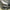 Front corner of a BMW sedan wrapped in gray forged carbon pattern vinyl, with the random strand texture across the bumper and hood