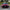 Sedan front view wrapped in Rupee Purple Metallic gloss vinyl, jewel-toned purple with a red lean, parked outdoors