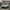 Tesla Model Y wrapped in Satin Khaki Green color PPF parked on a street lined with birch trees